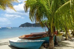 Caribbean Boats