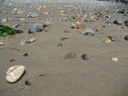 different pebbles on wet sand close-up