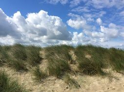 splendid Dunes