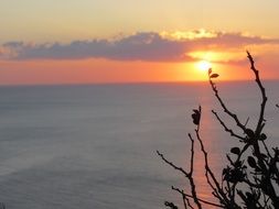 Beautiful landscape with the peaceful sunset in Ibiza