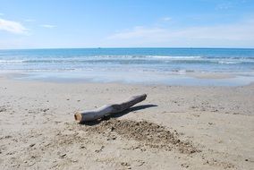 Driftwood on sand Beach