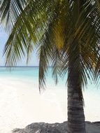 Palm Beach Maldives