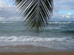 The Caribbean Island Of Martinique