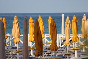 yellow umbrellas on a sunny beach