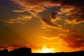 bright yellow sky in the evening