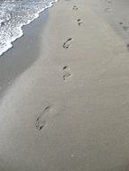 human footprints on the wet sand on the beach