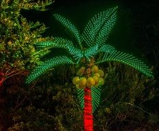 palm tree decoration in a botanical garden