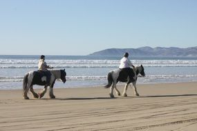 Picture of the horse riders on a beach