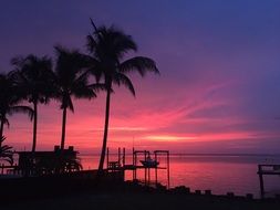 pink sunset over the coast, usa, florida, ruskin