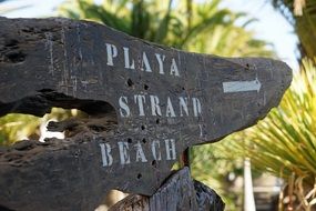 Shield on a beach