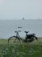 picture of the Bike on a grass beach