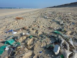 trash on the sandy coast close up
