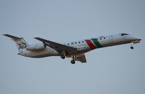 Portuguese Airlines plane in flight