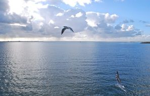 Mediterranean Summer