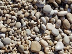 strikingly beautiful Beach Pebbles