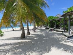 sandy beach in sunny maldives