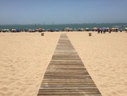 wooden walkway on the beach