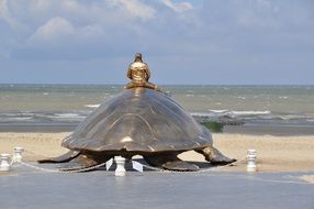 Copper Tortoise on the beach of Nieuwpoort
