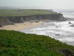 green coast near the ocean