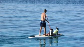 people are swimming on a surfboard