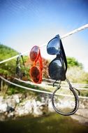 red and black Sunglasses