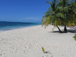 coast of indian ocean in maldives