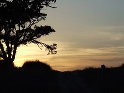 Evening nature