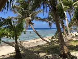 Hammock Beach among the palms
