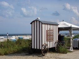 beach life on the Baltic Sea