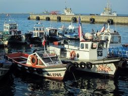 A lot of the boats in the port