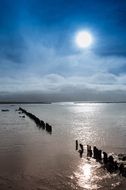 piles in the sea in the sunlight