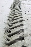 track in beach sand