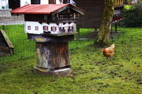 Picture of the farm