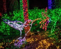 bright glowing decorations in the botanical garden
