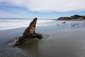 Landscape of New Zealand beach
