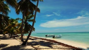 Caribbean Saona Island