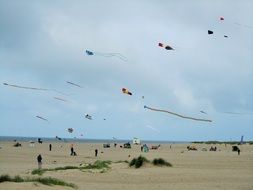 kites fly over a sandy beach