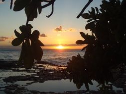 unusual beauty Hawaii Sunset