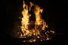 burning campfire in the dark