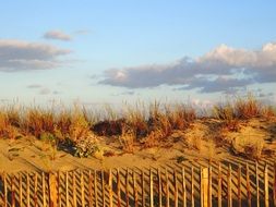sand dunes on the atlantic coast close up
