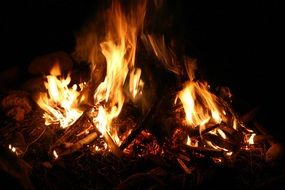 night bonfire closeup