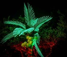 night photo of a colorful palm tree