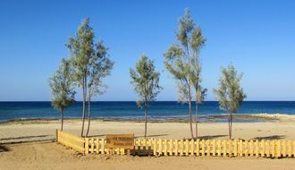 fence and green trees on the beach in Ayia Triada