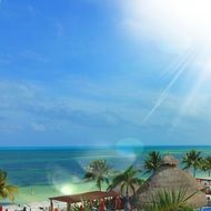 landscape of beach with green palm trees in the caribbean
