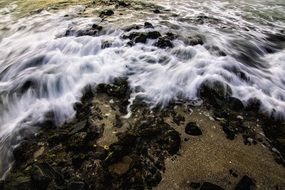 foamy wave on the beach close-up