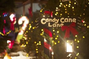 Candy Cane lane