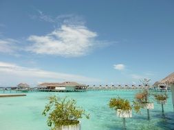 distant view of the pier in the Maldives