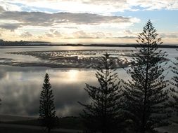 low tide at sunrise