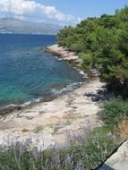 Croatia Coast Stones