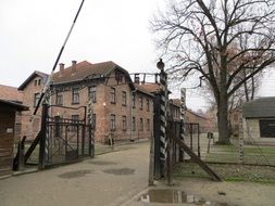 gates in Auschwitz